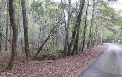 0 Westline Lots Dr, Madison, MS 39110 - photo 2