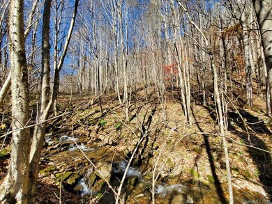 999 Scronce Creek Rd, Cane River, NC 28714 - photo 3