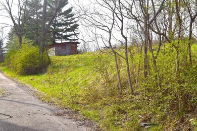 17078 Pine Hill Rd, Metamora, IN 47030 - photo 3