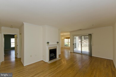The Pavillion unit 101, Falls Church, VA 22043 - photo 5