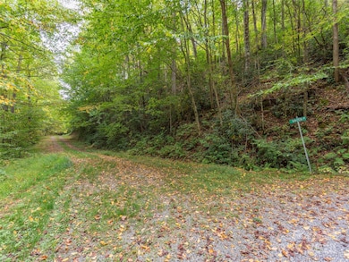 00 Keull Rd, Waynesville, NC 28785 - photo 7