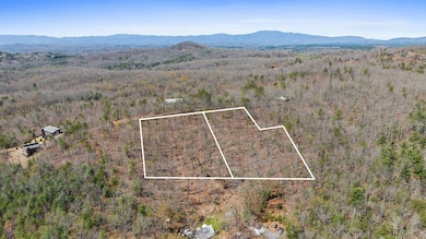 40A Synacia Dr, Mineral Bluff, GA 30559 - photo 2