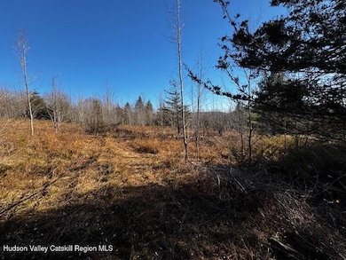 0 Bruce Cross unit 20255843, Lexington, NY 12468 - photo 5