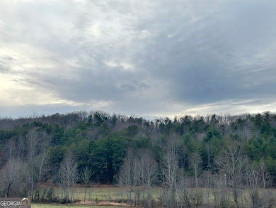 168 Warren Tr Park Rd, Blairsville, GA 30512 - photo 3