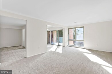 2204 Greenery Ln unit 301, Silver Spring, MD 20906 - photo 2