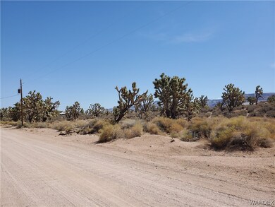 Lot view looking down Verde towards the North