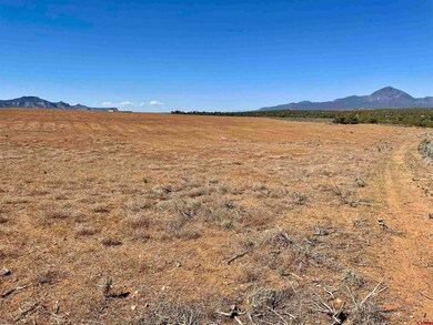 Tract 5 Road K 3, Cortez, CO 81321 - photo 7