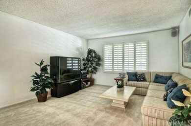 Huge Formal Living Room with Plantation Shutters