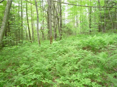 0 Vermont 102, Guildhall, VT 05905 - photo 5