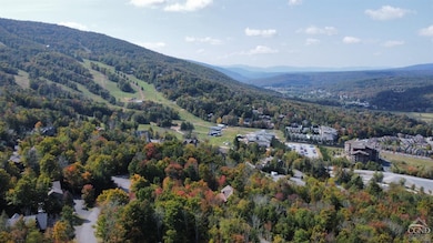 2 Twin Maples Ln, Windham, NY 12496 - photo 7