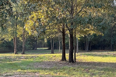 00 County Road 4885, Winnsboro, TX 75494 - photo 2