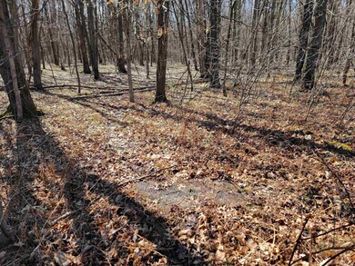 0000 Fremont Ave, Byron, WI 54660 - photo 5