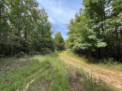 Unnamed Rd, Booneville, MS 38829 - photo 4