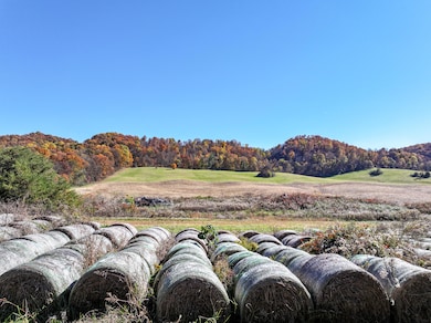 5360 Old Snapps Ferry Rd, Limestone, TN 37681 - photo 2