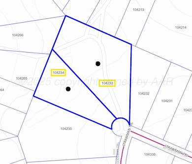 1700 Strawman Trail, Amarillo, TX 79108 - photo 2