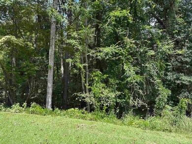 1.23 ACRES Heidi Trail, Buckhead, GA 30625 - photo 6