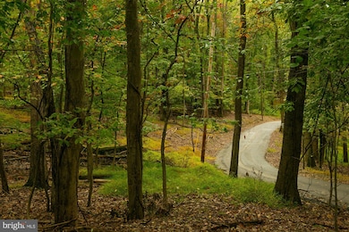 #2 Highview Rd, Shannondale, WV 25425 - photo 6