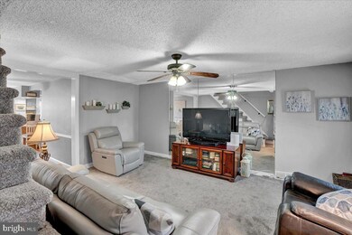 103 Westbridge Rd, Glenolden, PA 19036 - photo 6