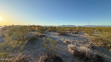 IMG_1356