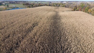 52 Scarlet Ave, Bloomfield, IA 52537 - photo 7