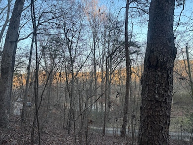 0 Twin Lakes Rd, Lafayette, GA 30728 - photo 3