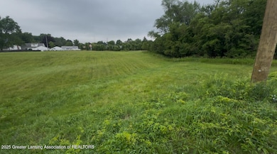0 W Jolly Rd, Lansing, MI 48910 - photo 3