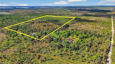 2021 Sabal Palm Rd, Naples, FL 34117 - photo 3