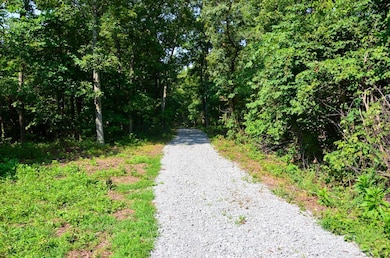 0 Coffman Rd unit Lot WP002 20945157, Farmington, MO 63640 - photo 2