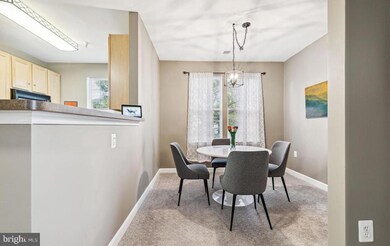 22655 Blue Elder Terrace unit 201, Ashburn, VA 20148 - photo 5