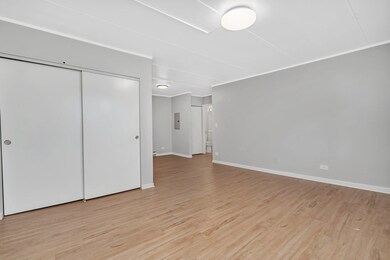 329 W Kimbell Ave unit 3, Elmhurst, IL 60126 - photo 5