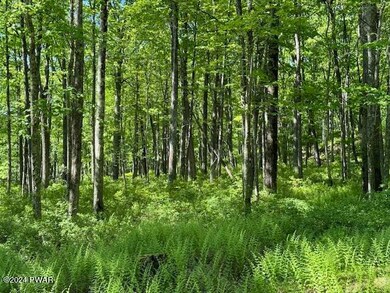 Lot 17 Woodlyn Acres Rd, Berlin Township, PA 18428 - photo 2