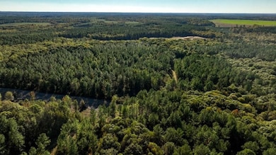 Scarboro Landing, Millen, GA 30442 - photo 7