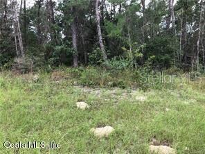 000 SW 165th St Rd unit 5, Ocala, FL 34473 - photo 6