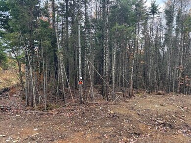 Lot C Whitetail Trail, Greenville, ME 04441 - photo 7