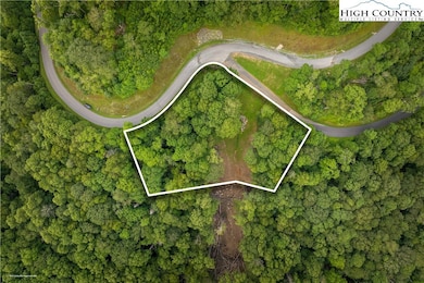 TBD Lot 217 Thunderhill Trail, Blowing Rock, NC 28605 - photo 2