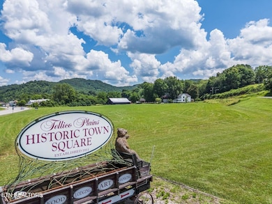 0 1d Cherohala Skyway unit 1324320, Tellico Plains, TN 37385 - photo 7