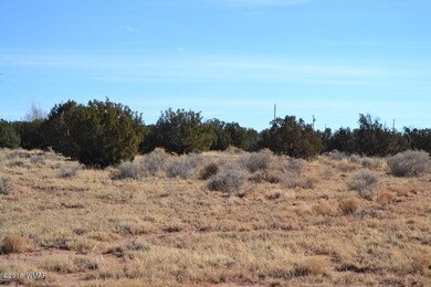 DSC_0976 (800x533)