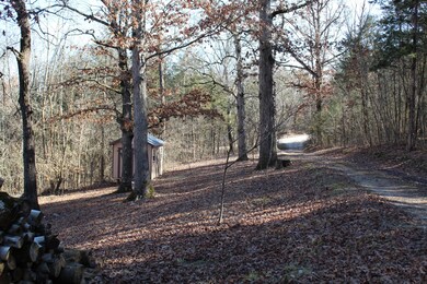 IMG_1725