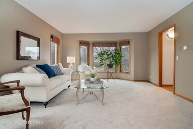 Fresh paint and carpet, love the bay window!