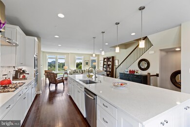 1201 White Feldspar Terrace SE, Leesburg, VA 20175 - photo 4