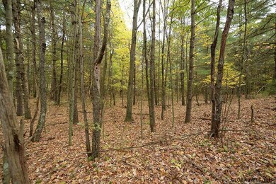 00 West Ln, Wilton, NY 12866 - photo 5