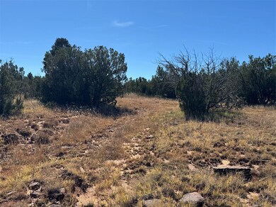 158.81 Off B27a, Serafina, NM 87569 - photo 2