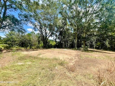 402 Drury Ln, Brookhaven, MS 39601 - photo 6