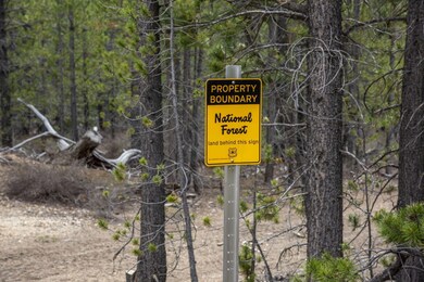 33-web-or-mls-DSC_9901