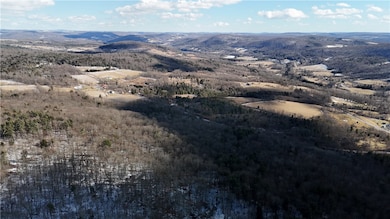 0 Patent Line Rd unit R1591298, Sidney, NY 13775 - photo 6