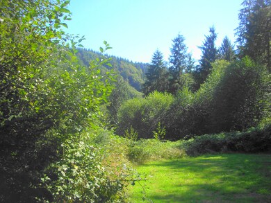 17525 Crest View Lane Acreage - Nehalem