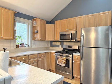 2564 E Brutus Rd, Alanson, MI 49706 - photo 3