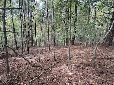 Lot 14 Pine Grove Dr, Epworth, GA 30541 - photo 3