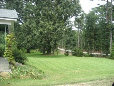 front yard from driveway