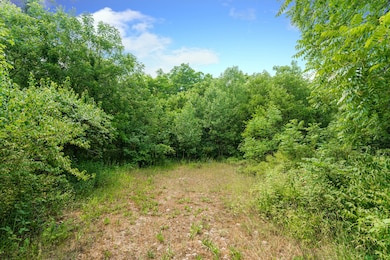 5N024 Il Route 31, St. Charles, IL 60175 - photo 4